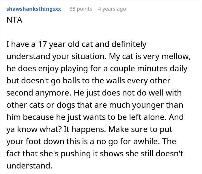 Comment discussing challenges of introducing a dog to a household with an old cat that prefers to be left alone. Comment discussing challenges of introducing a dog to a household with an old cat that prefers to be left alone.