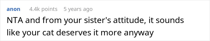 Screenshot of an online comment discussing a cat deserving an old laptop more than the sister in a viral internet story.