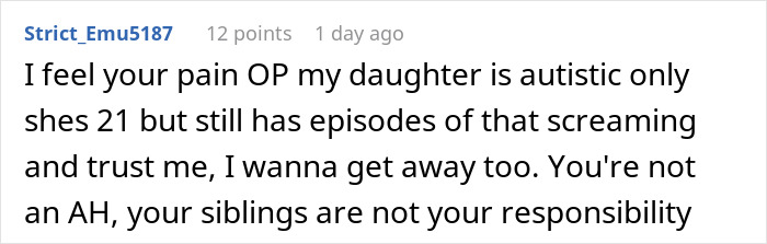 Reddit comment: user empathizes with exhausted teen dealing with autistic siblings' screaming and not responsible. Reddit comment: user empathizes with exhausted teen dealing with autistic siblings' screaming and not responsible.