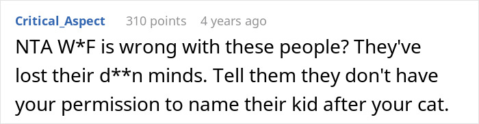 Screenshot of an online comment criticizing family for demanding to rehome or rename 11-year-old cat sharing a name with sister’s son. Screenshot of an online comment criticizing family for demanding to rehome or rename 11-year-old cat sharing a name with sister’s son.