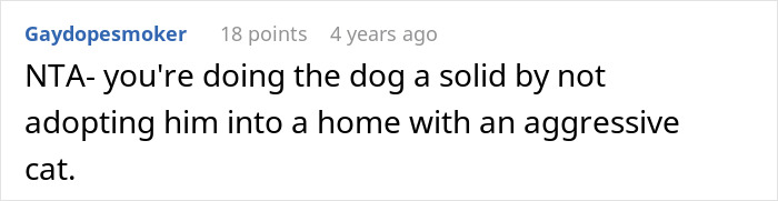 Screenshot of a Reddit comment explaining why not adopting a dog benefits the dog due to conflict with an old cat. Screenshot of a Reddit comment explaining why not adopting a dog benefits the dog due to conflict with an old cat.