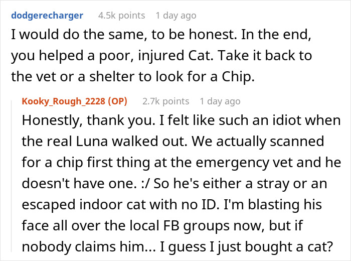Comments about accidentally stealing the wrong cat, helping an injured cat, and paying bills for the stray cat.