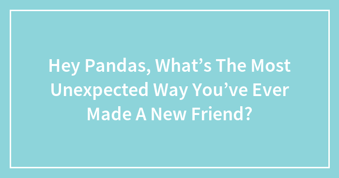 Hey Pandas, What’s The Most Unexpected Way You’ve Ever Made A New Friend? (Closed)