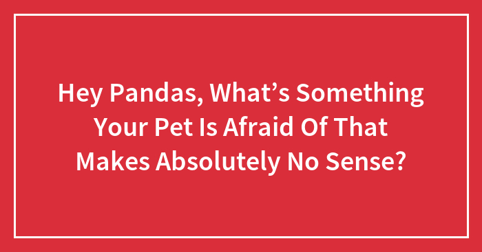 Hey Pandas, What’s Something Your Pet Is Afraid Of That Makes Absolutely No Sense? (Closed)