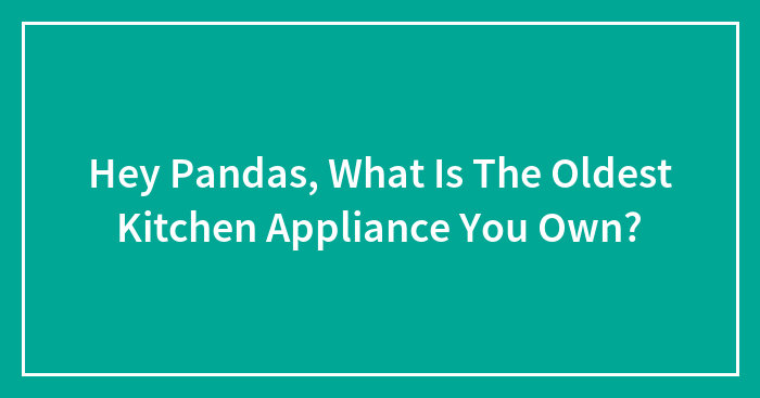 Hey Pandas, What Is The Oldest Kitchen Appliance You Own?