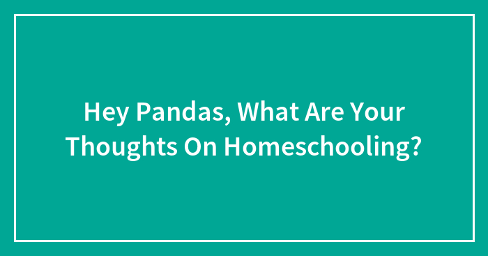 Hey Pandas, What Are Your Thoughts On Homeschooling? (Closed)