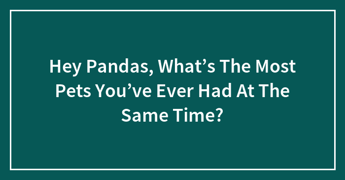 Hey Pandas, What’s The Most Pets You’ve Ever Had At The Same Time? (Closed)