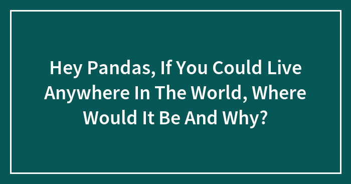 Hey Pandas, If You Could Live Anywhere In The World, Where Would It Be And Why?