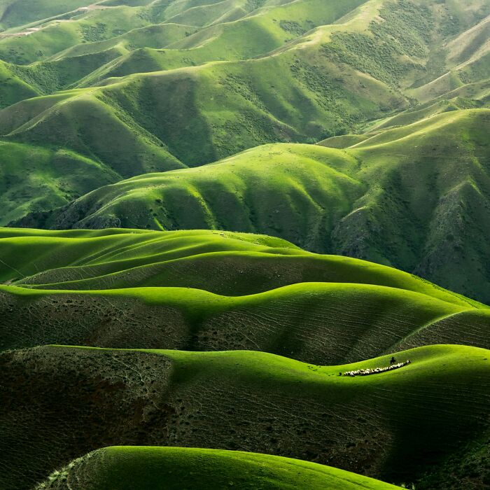 Hey Pandas, Share A Photo You Took That Looks Fake But Isn’t (Closed)