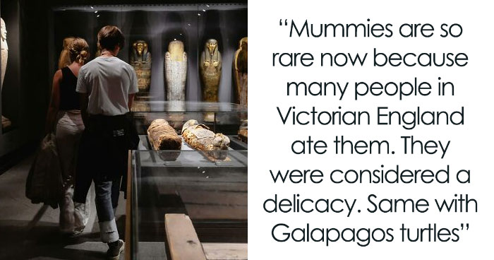 51 Wild Facts People Learned Somewhere And Never Forgot