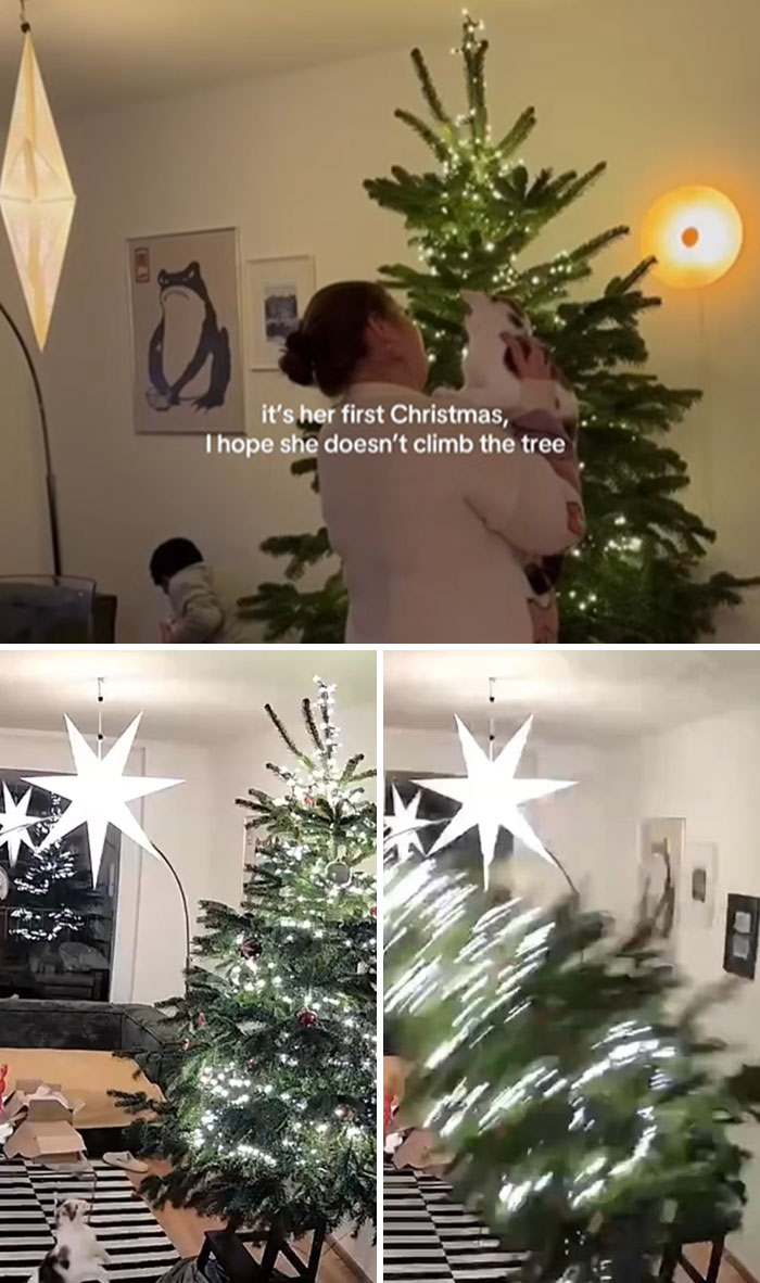 Cat's first Christmas tree experience captured with adorable reactions and holiday decorations in a cozy living room setting.