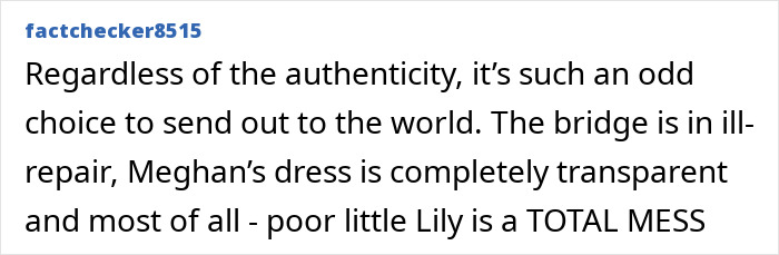 Comment criticizing Prince Harry and Meghan Markle's holiday photo, mentioning dress transparency and bridge repair issues.