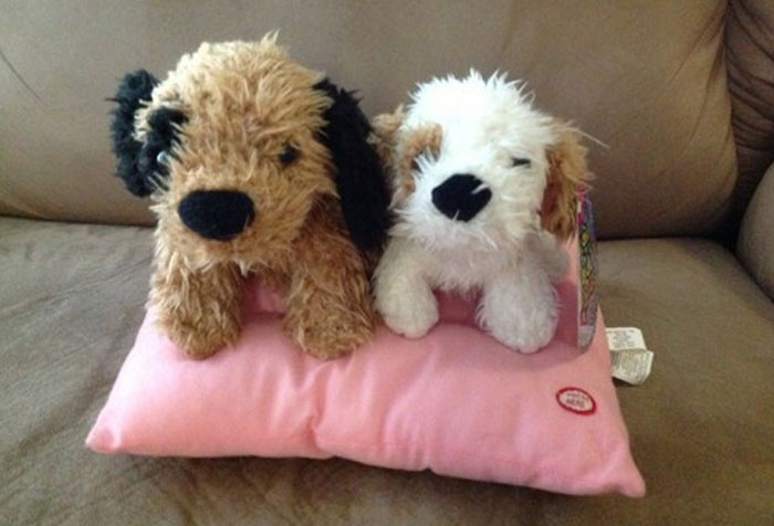 Plush dog toys on a pink pillow representing a cheap gift in a petty Christmas revenge scenario.
