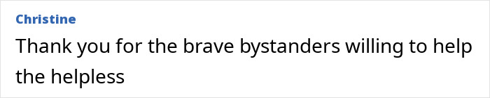 Comment from Christine thanking brave bystanders who helped a helpless child during the Bondi Beach attack incident. Comment from Christine thanking brave bystanders who helped a helpless child during the Bondi Beach attack incident.