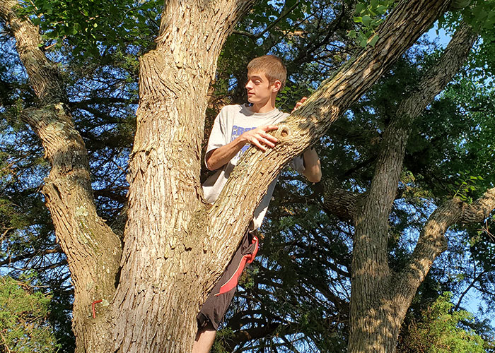 Young man climbing a tree demonstrating survival hacks that can be useless and dangerous in outdoor situations