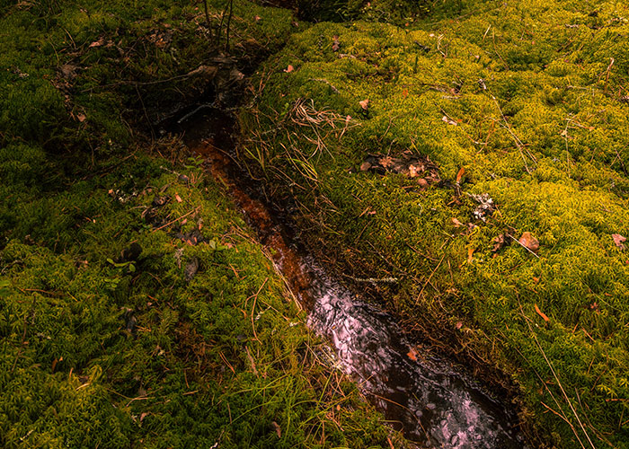 "Terrible Advice": People Urge Others To Stop Believing In These 40 Dangerous Survival Myths