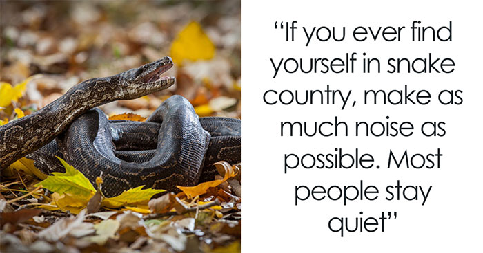 “Terrible Advice”: People Urge Others To Stop Believing In These 40 Dangerous Survival Myths