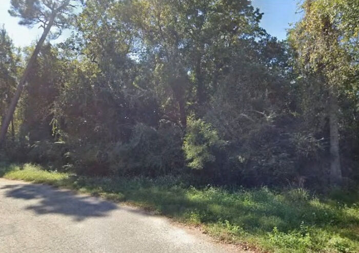 Woods near a roadside with dense trees where accused teens allegedly lured a daughter before the attack.