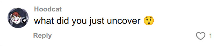 Comment by user Hoodcat saying what did you just uncover with a surprised face emoji on a social media post.