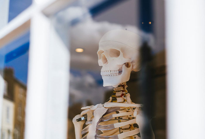 Plastic skeleton model visible through a window, representing disturbing things found in homes of seemingly normal people.