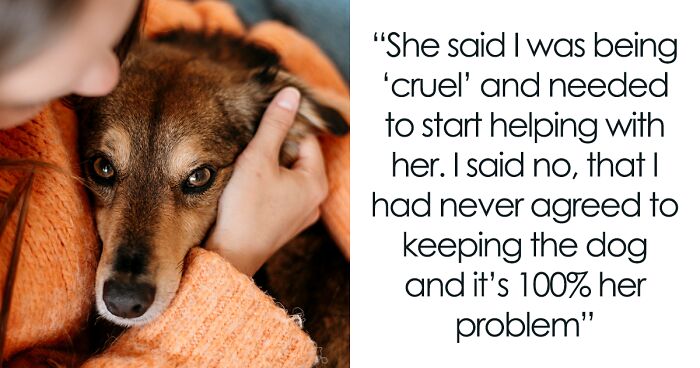 Man Warns Wife That He Won’t Help With Street Dog, Starts A Fight As He Sticks To His Word