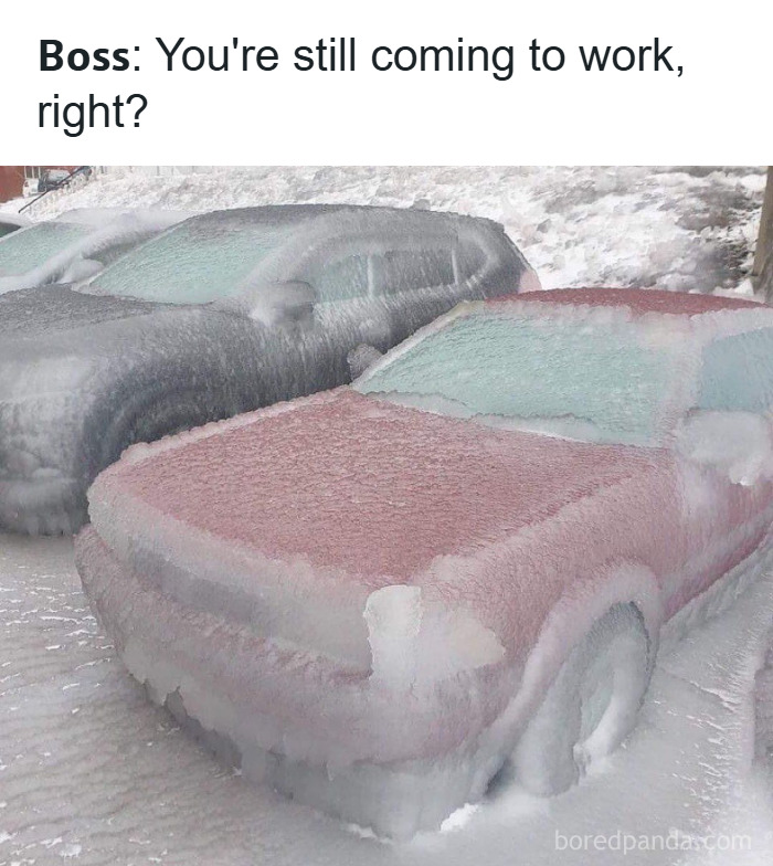 Frozen cars covered in thick ice, illustrating a humorous work-related meme about stress relief through laughing memes.