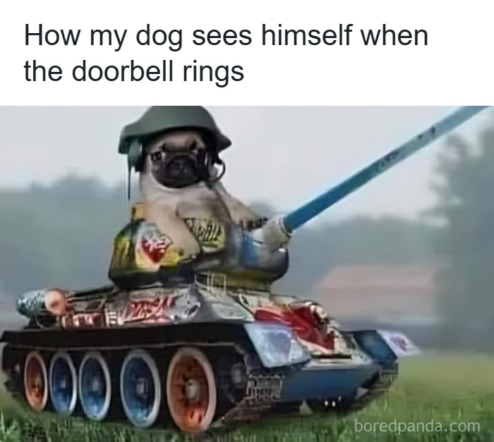 Funny meme of a dog in a military tank humorously showing hilarious memes to ease stress and make you forget worries.