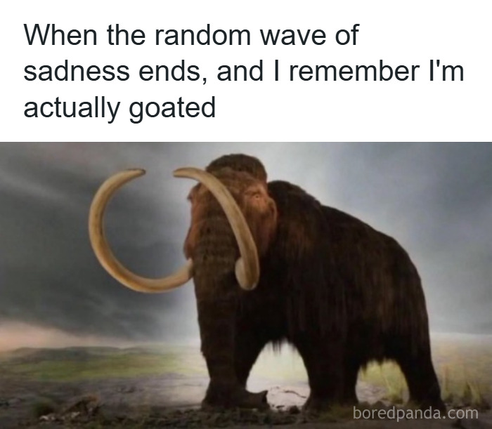 Woolly mammoth standing in a field with text about overcoming sadness and feeling confident in funny unhinged memes.