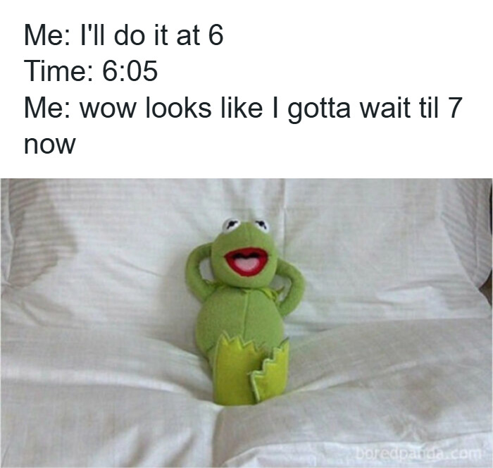 College meme with Kermit the Frog lounging, humorously depicting procrastination and students running on hope and energy drinks.