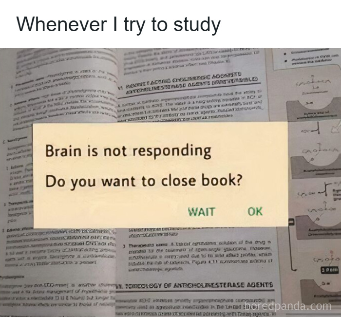 Humorous college meme showing study struggles with brain not responding message on textbook page.