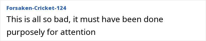 Comment text criticizing a photo as intentionally done for attention in discussion about Prince Harry and Meghan Markle's holiday snap manipulation.
