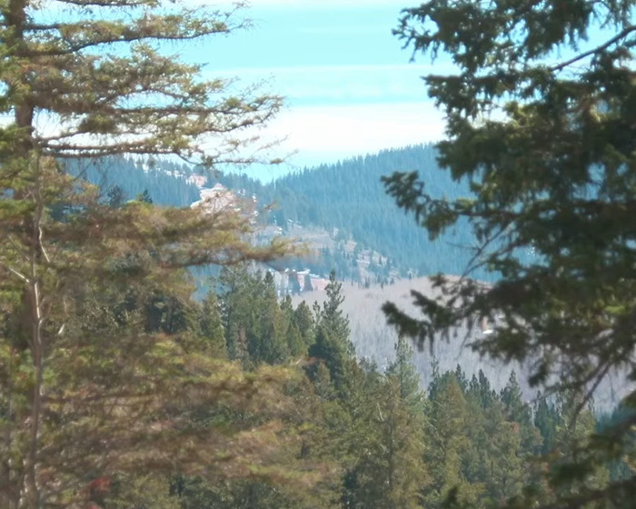 Mountain landscape with tall pine trees under blue sky, reflecting children's heartbreaking words after dad's disturbing behavior.
