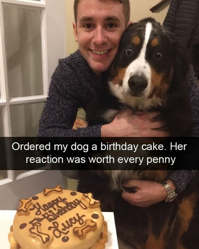 Man smiling and hugging a dog with a birthday cake, featuring a funny animal memes moment for pet lovers.