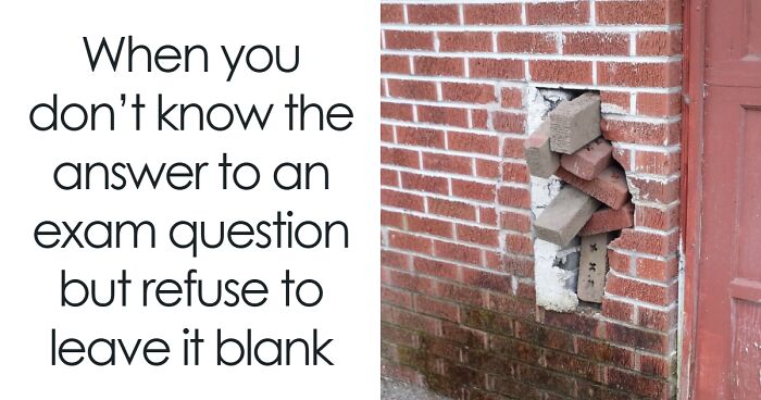 50 Hilariously Relatable College Memes That Might Make You Laugh, Then Cry