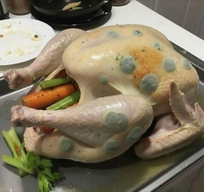 Raw chicken with large blue mold spots on skin, stuffed with carrots and celery, shown in a kitchen setting, food pics to be shamed.