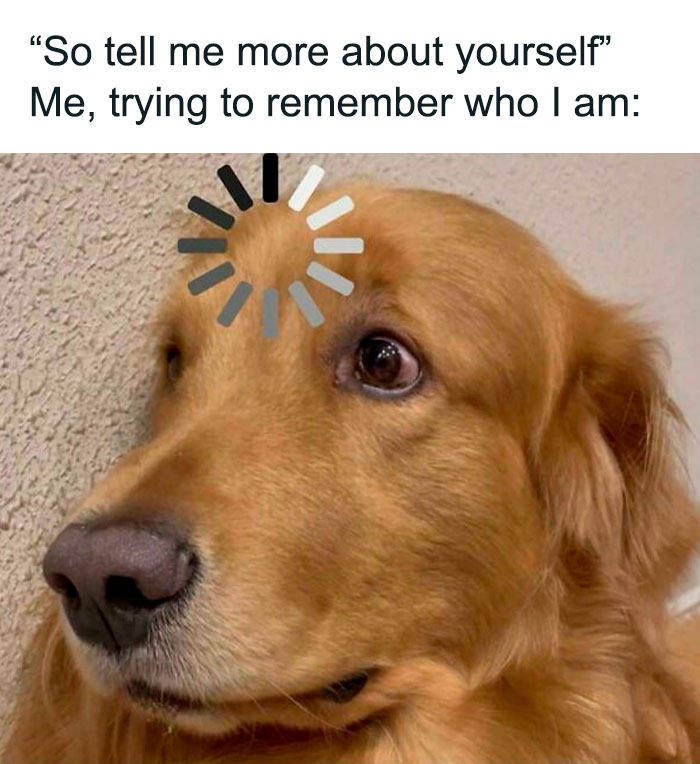 Golden retriever dog with a loading icon on its head, humorously depicting confusion in adorable dog memes.