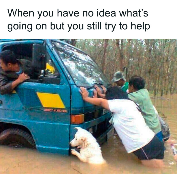 Group of people and a dog helping push a stuck vehicle in mud, a funny adorable dog meme showing teamwork and effort.