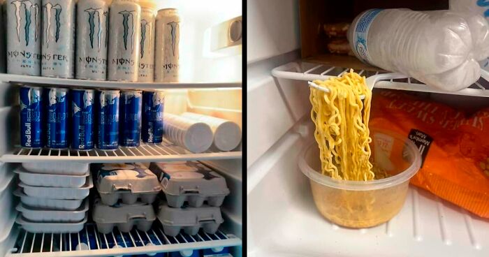 45 Hilariously Unhinged “Dude Fridges” (New Pics)