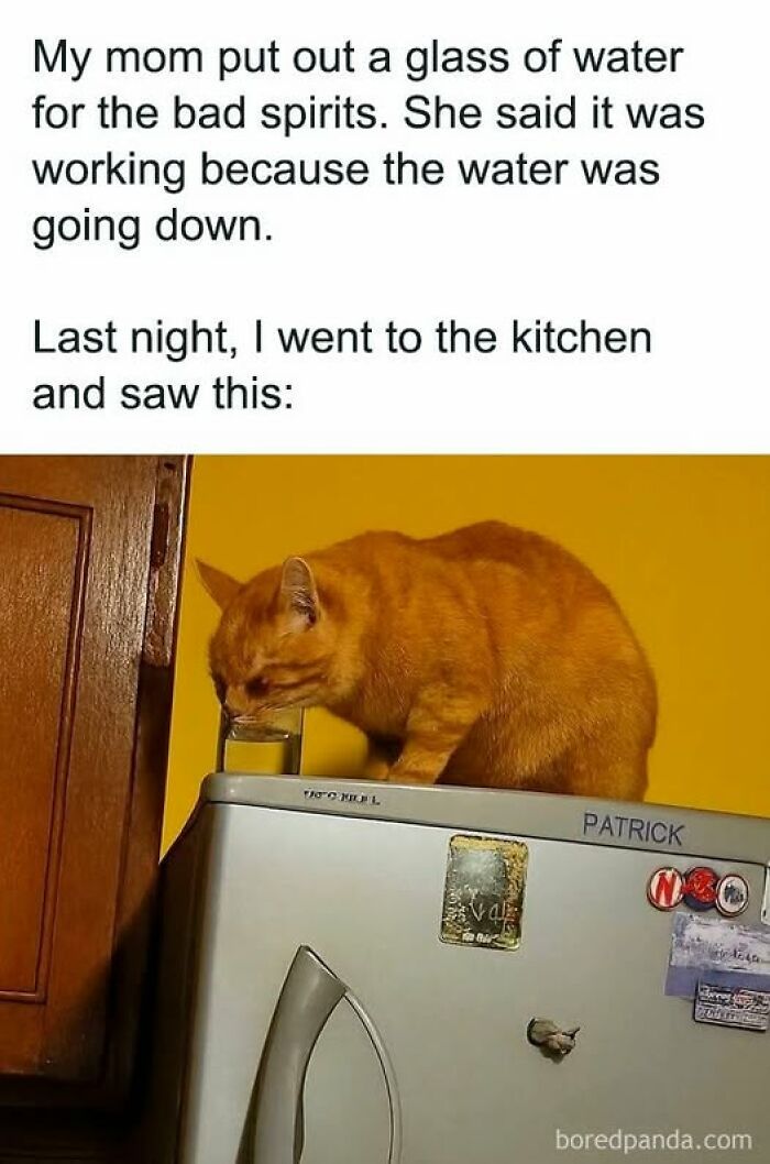 Orange cat drinking water from a glass left out for bad spirits, showing typical pet behavior caught by cat owners.