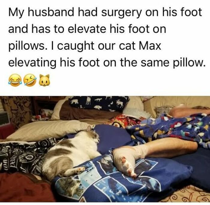 Cat owners caught their adorable pet cat laying its paw on a pillow, mimicking foot elevation during recovery.