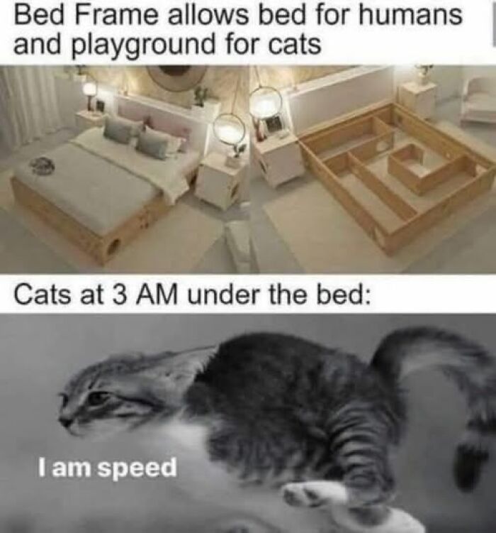 Cat owners caught their adorable pets behaving like jerks with creative bed frames and speedy antics under the bed.