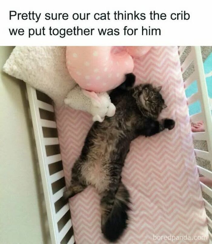 Cat behaving like a jerk lying sprawled in a baby crib with stuffed animals, showing typical pet owner frustration.