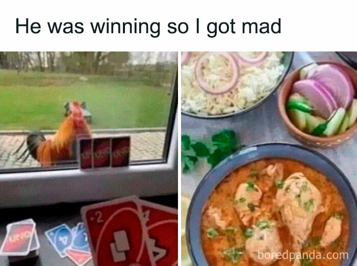 A rooster standing outside a window with Uno cards inside, paired with a dish of curry and rice, capturing funny meme moments.