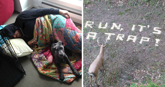 69 Hilarious Moments When Men Proved They Never Really Grew Up At All (New Pics)