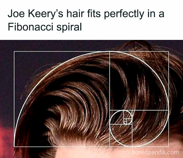 Close-up of hair styled in a Fibonacci spiral with text referencing Stranger Things in a funny meme format.