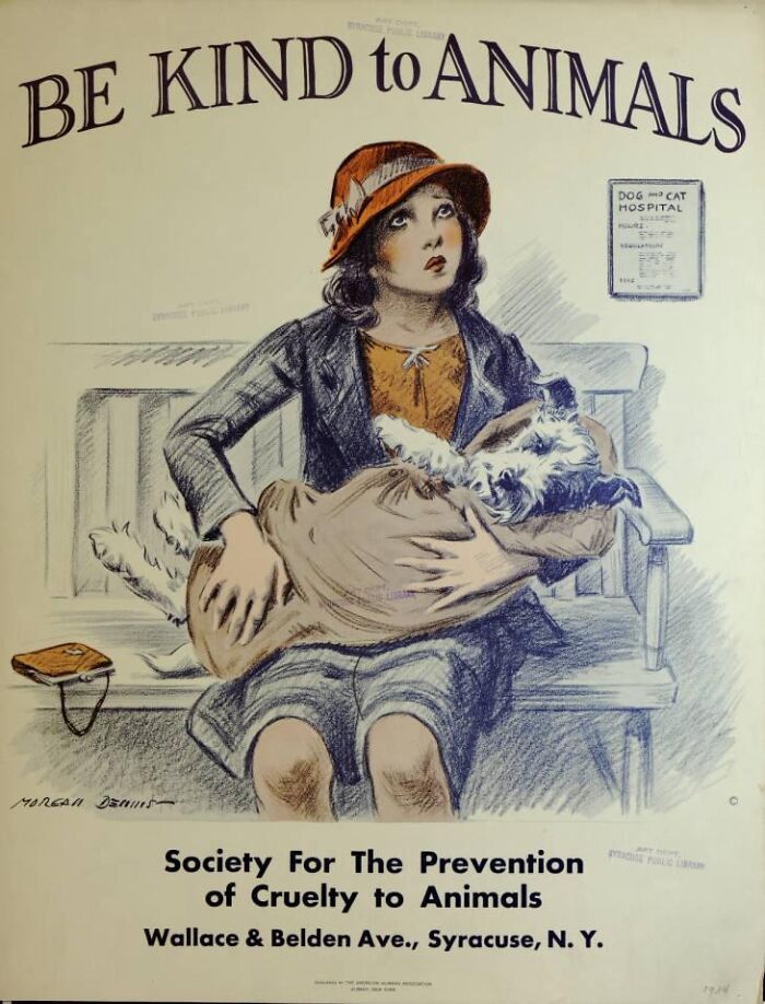 Vintage ad showing a woman protecting a cat, highlighting vintage marketing and animal cruelty prevention efforts.