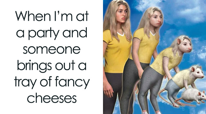 50 Memes So Absurd They’re Borderline Performance Art