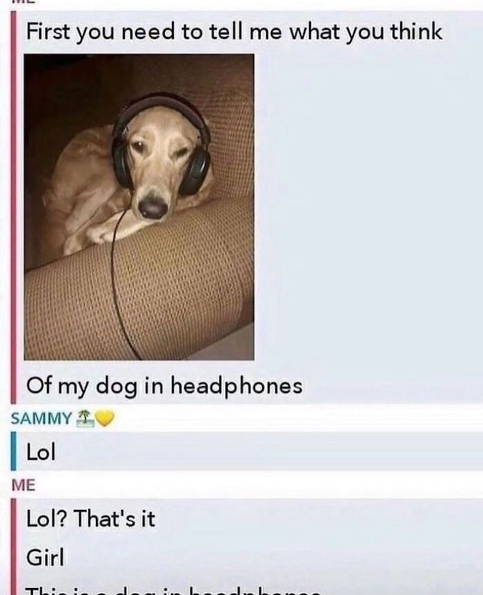 A funny text exchange featuring a dog wearing headphones, capturing unhinged and weird texts that might make you laugh.