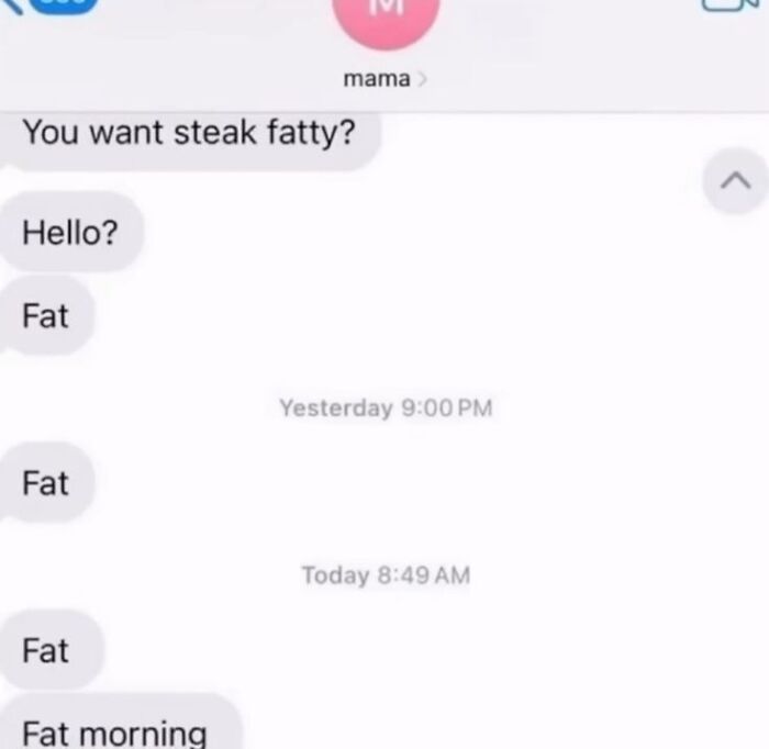 Text message exchange showing unhinged and weird texts with repetitive use of the word fat in a humorous context.