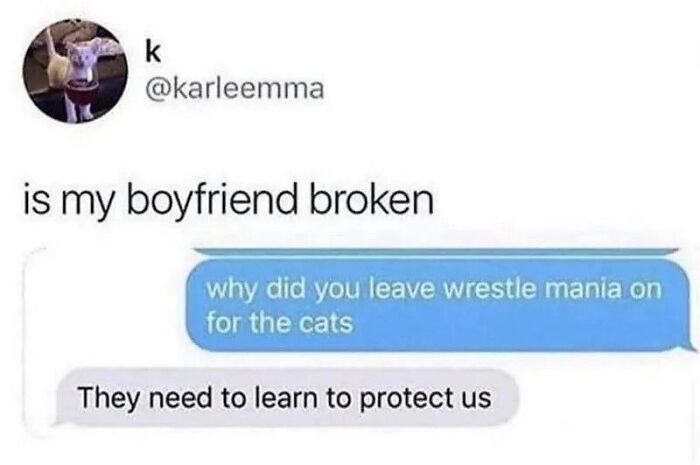 Funny text message exchange about a broken boyfriend and leaving WrestleMania on for cats to learn protection.